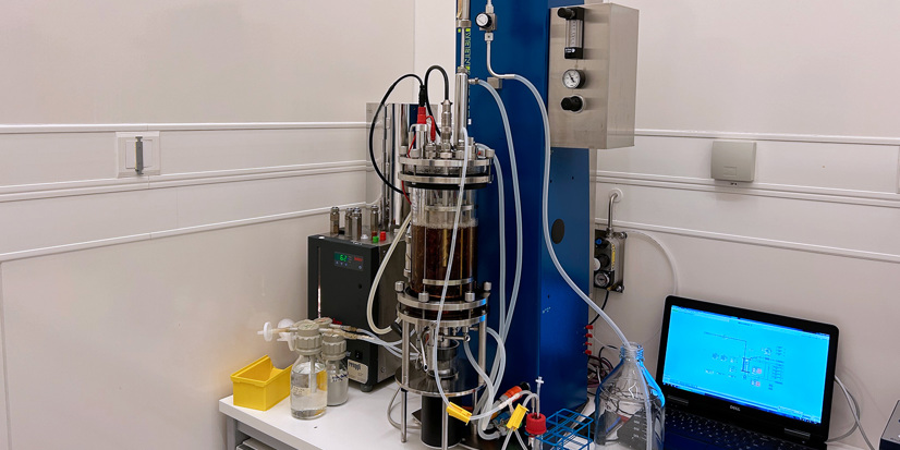 Bioengineering KLF bioreactor - microbial