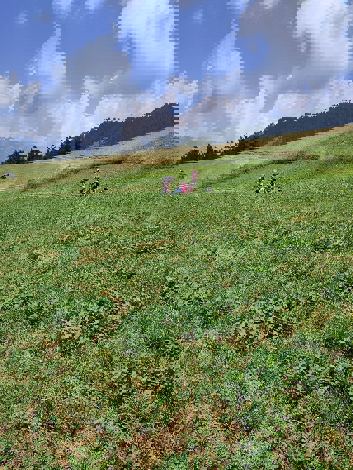 Whatsapp Image 2025 07 08 À 11.43.16 Ad610995